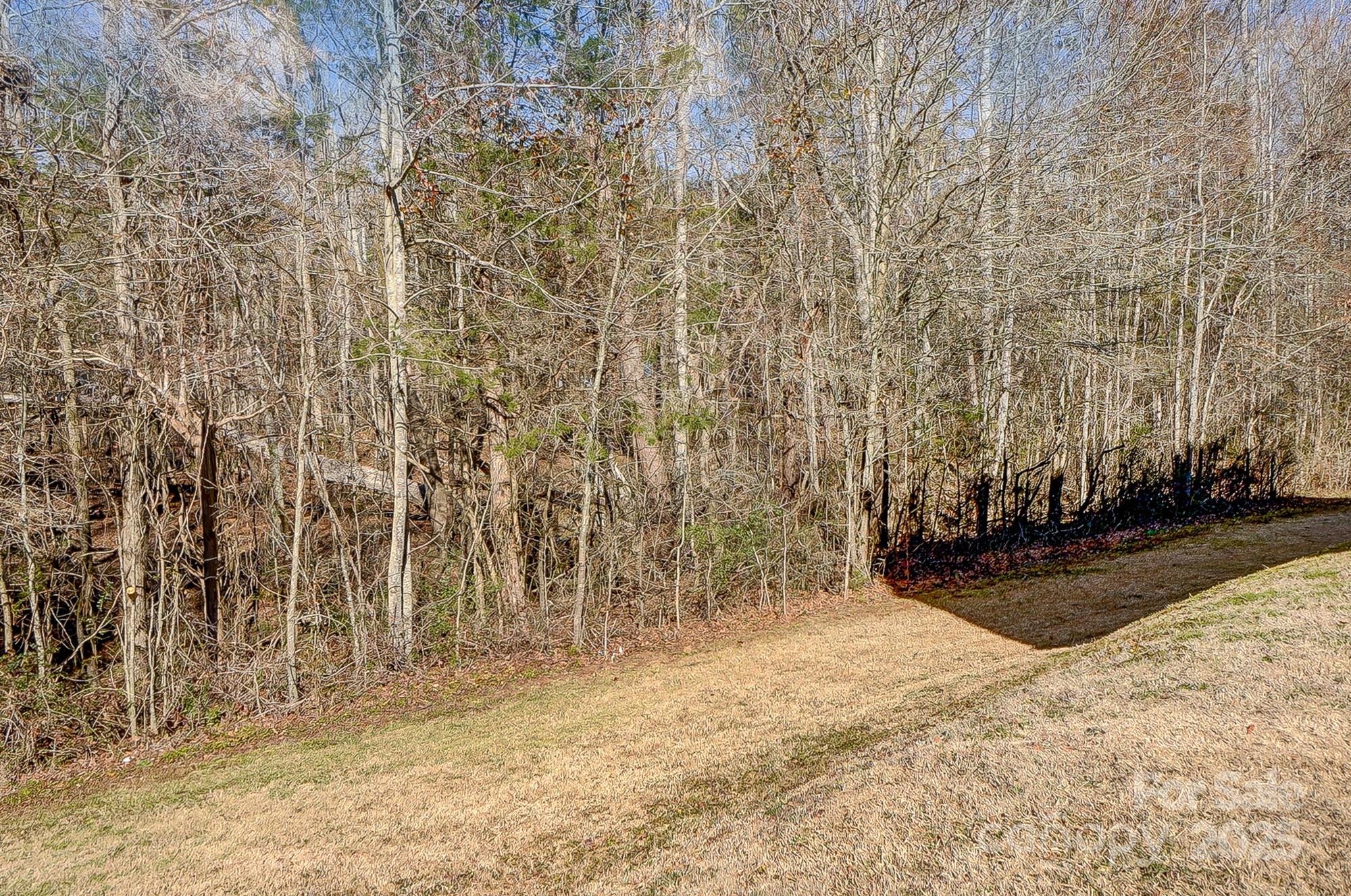 356 Nantucket Way Rock Hill, SC 29732 - Photo 28 of 34 a view of a backyard of the house