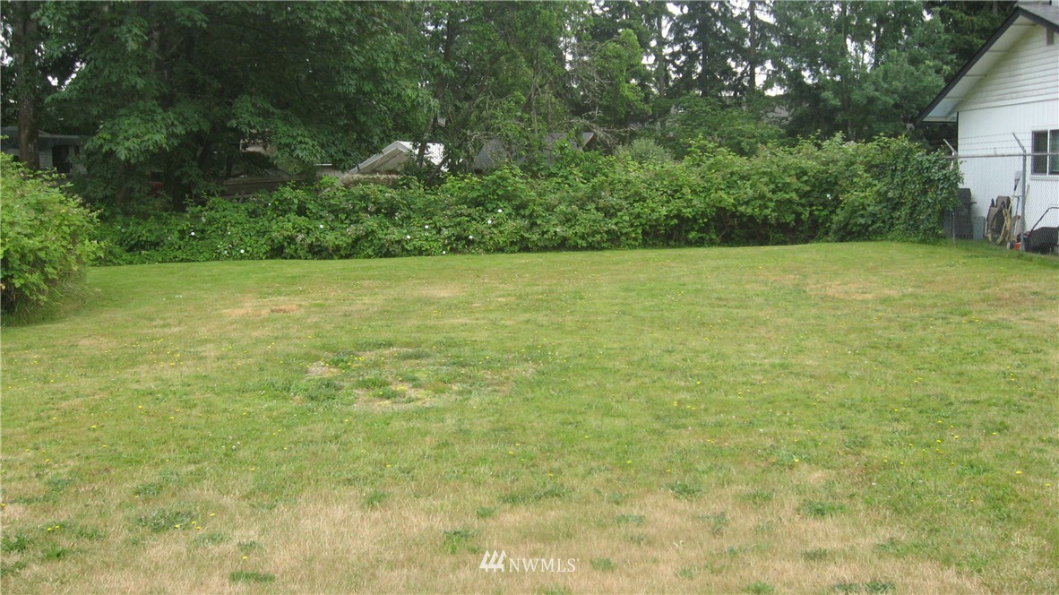 10801 Southeast 170th Street Renton, WA 98055 - Photo 9 of 10 a view of a yard with a tree