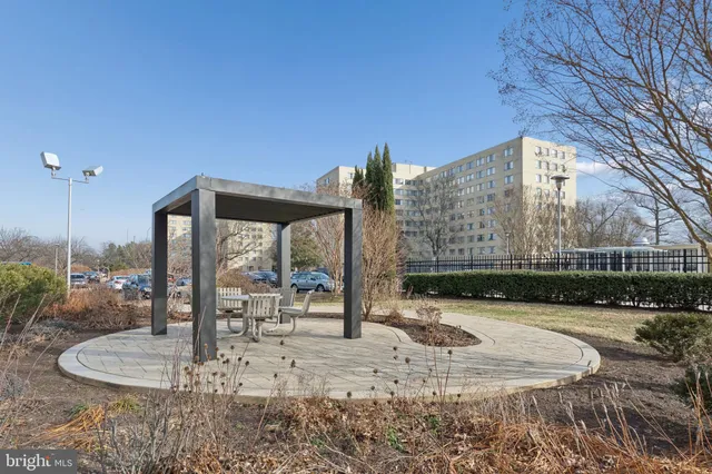 a view of dirt yard with a large tree