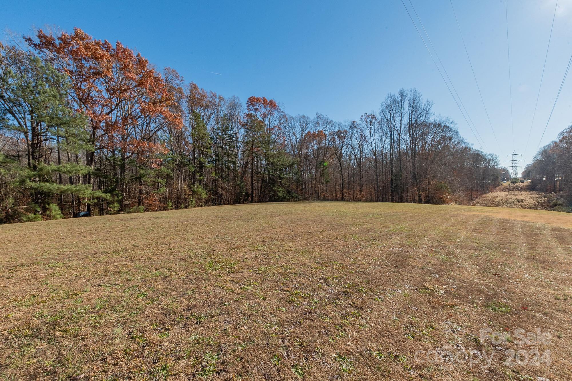 3211 Happy Hill Road Lexington, NC 27295 - Photo 42 of 44 a view of road view with large trees