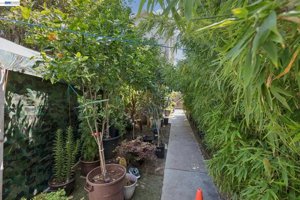 a view of outdoor space yard and patio