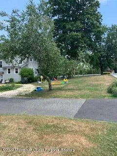 a view of a park with large trees