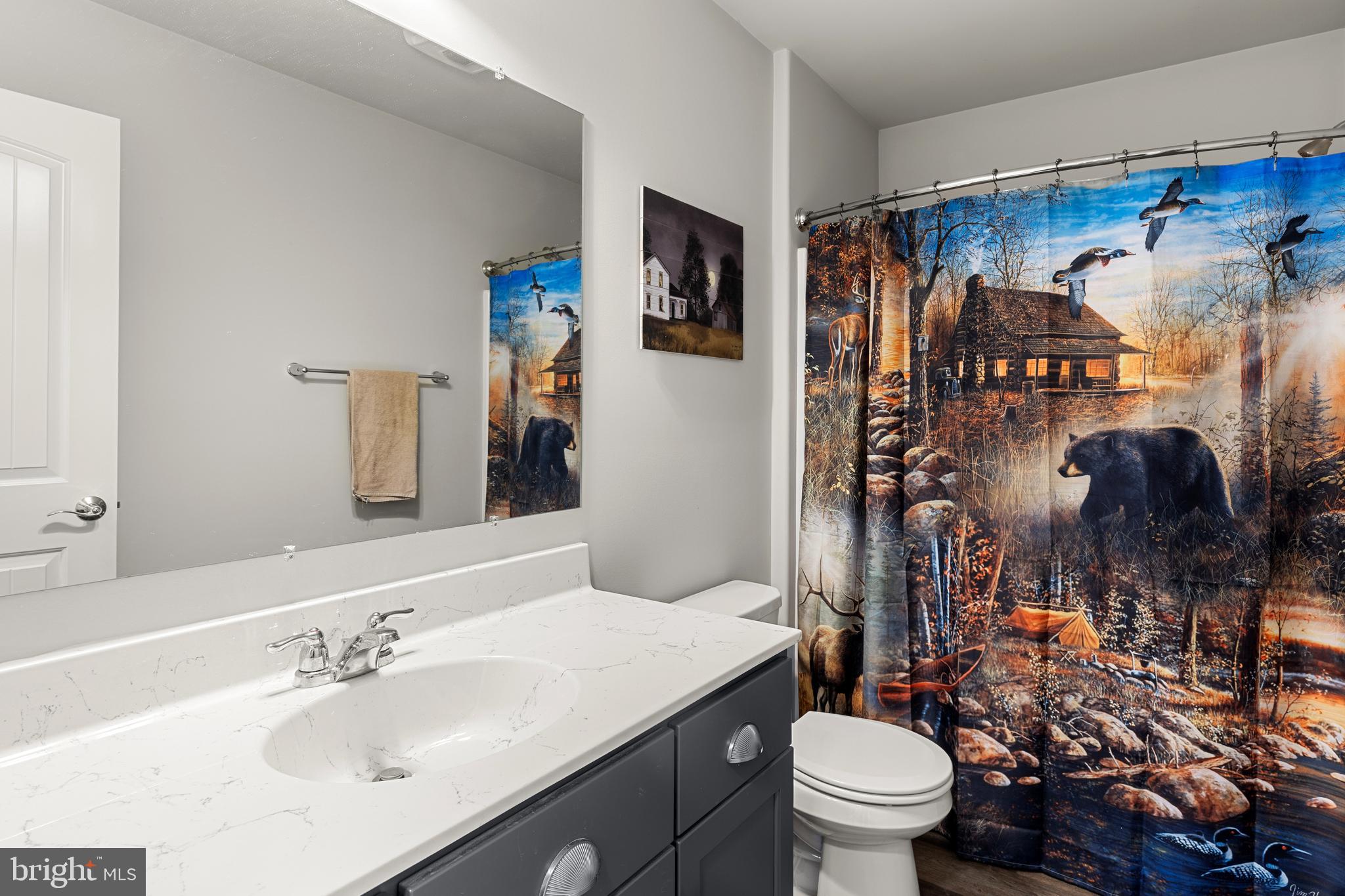 212 Scenic Ridge Boulevard Lebanon, PA 17042 - Photo 18 of 33 a bathroom with a sink toilet and shower