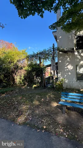 a view of a park with large trees