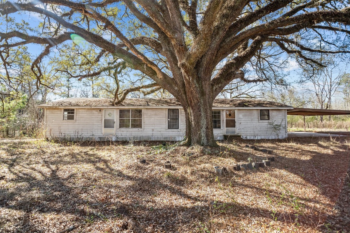588 Linville Grimes Road Diboll, TX 75941 - Photo 21 of 30 a large tree in front of a white house