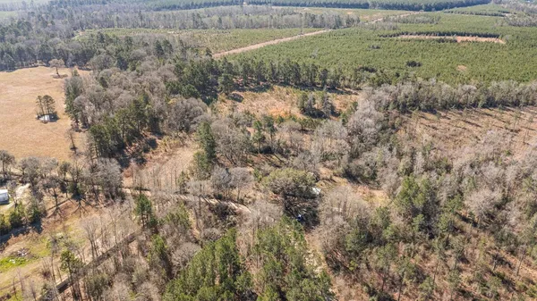 a view of a dry yard