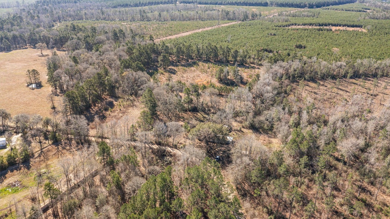 588 Linville Grimes Road Diboll, TX 75941 - Photo 24 of 30 a view of a dry yard
