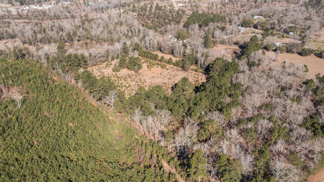 588 Linville Grimes Road Diboll, TX 75941 - Photo 25 of 30 a view of a covered with green space