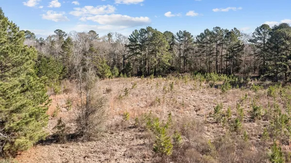a view of a yard with a tree in the background