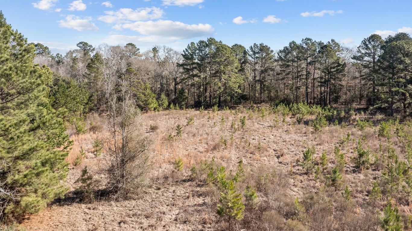 588 Linville Grimes Road Diboll, TX 75941 - Photo 26 of 30 a view of a yard with a tree in the background