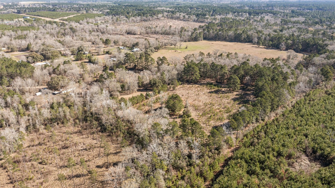 588 Linville Grimes Road Diboll, TX 75941 - Photo 28 of 30 a view of a forest with mountains in the background