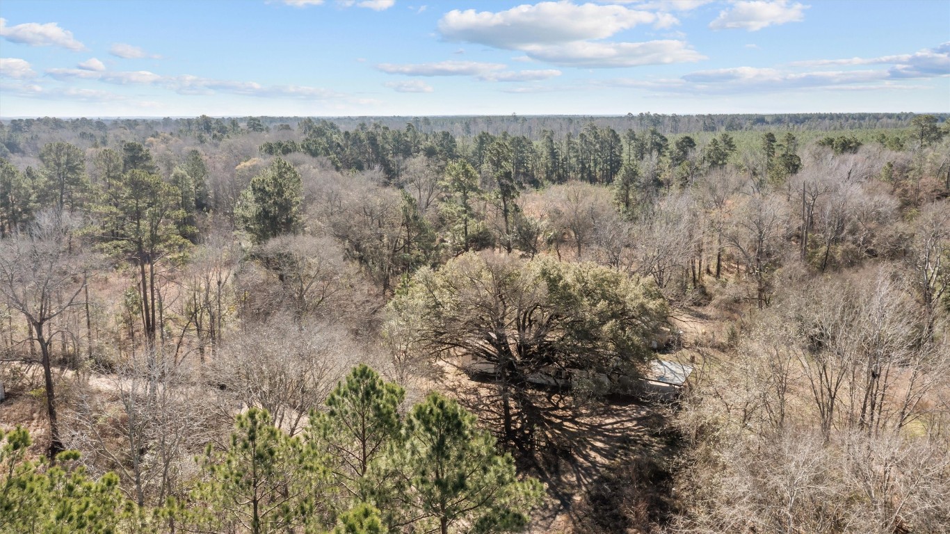 588 Linville Grimes Road Diboll, TX 75941 - Photo 29 of 30 a view of a forest with lush green forest