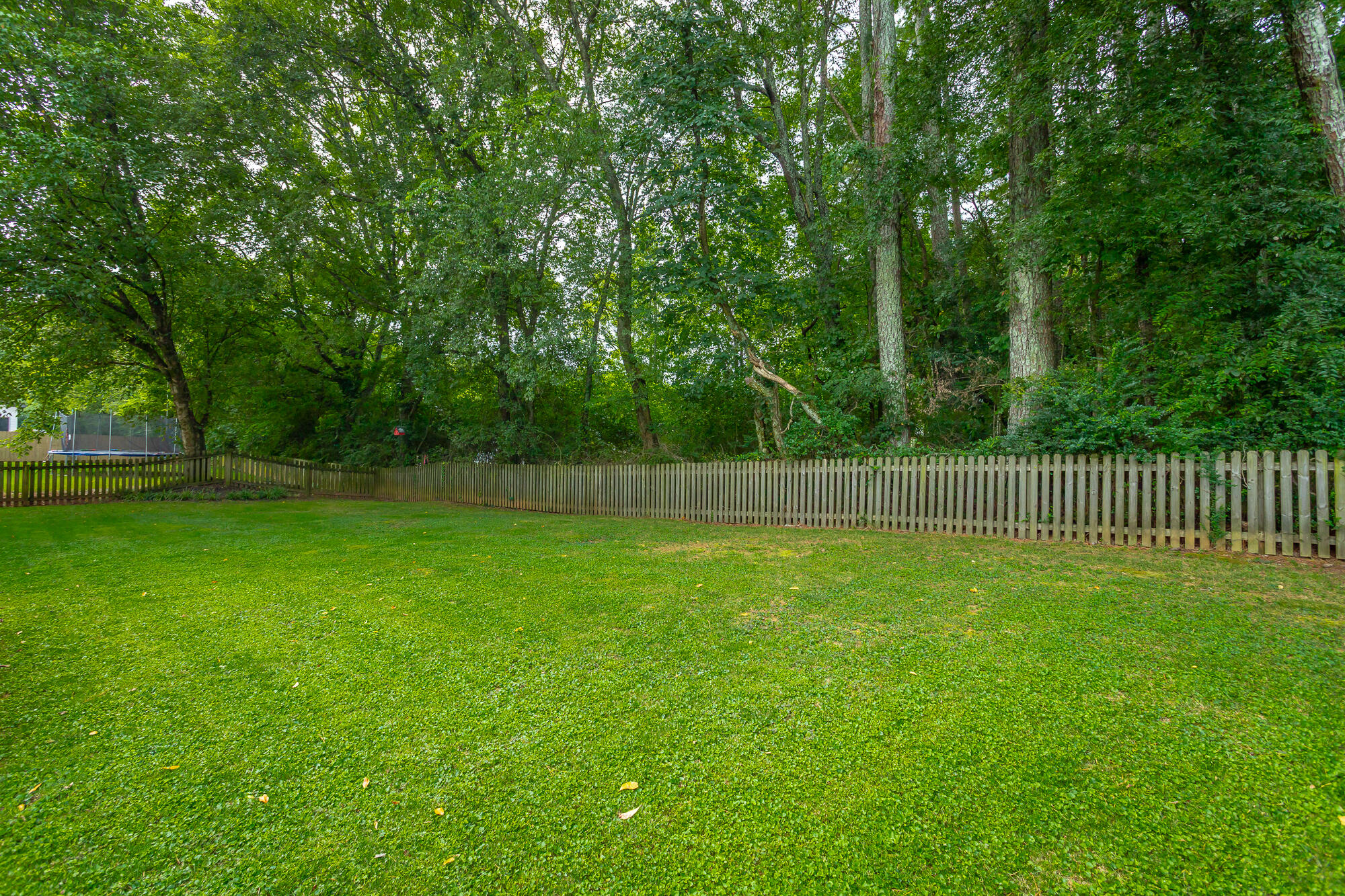 10642 Harlow Place Apison, TN 37302 - Photo 55 of 70 10642 Harlow Place HD-97