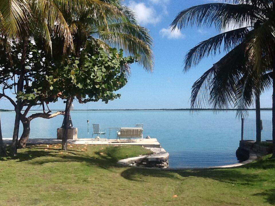 31 Boulder Drive Key West, FL 33040 - Photo 3 of 36 a view of swimming pool with a yard