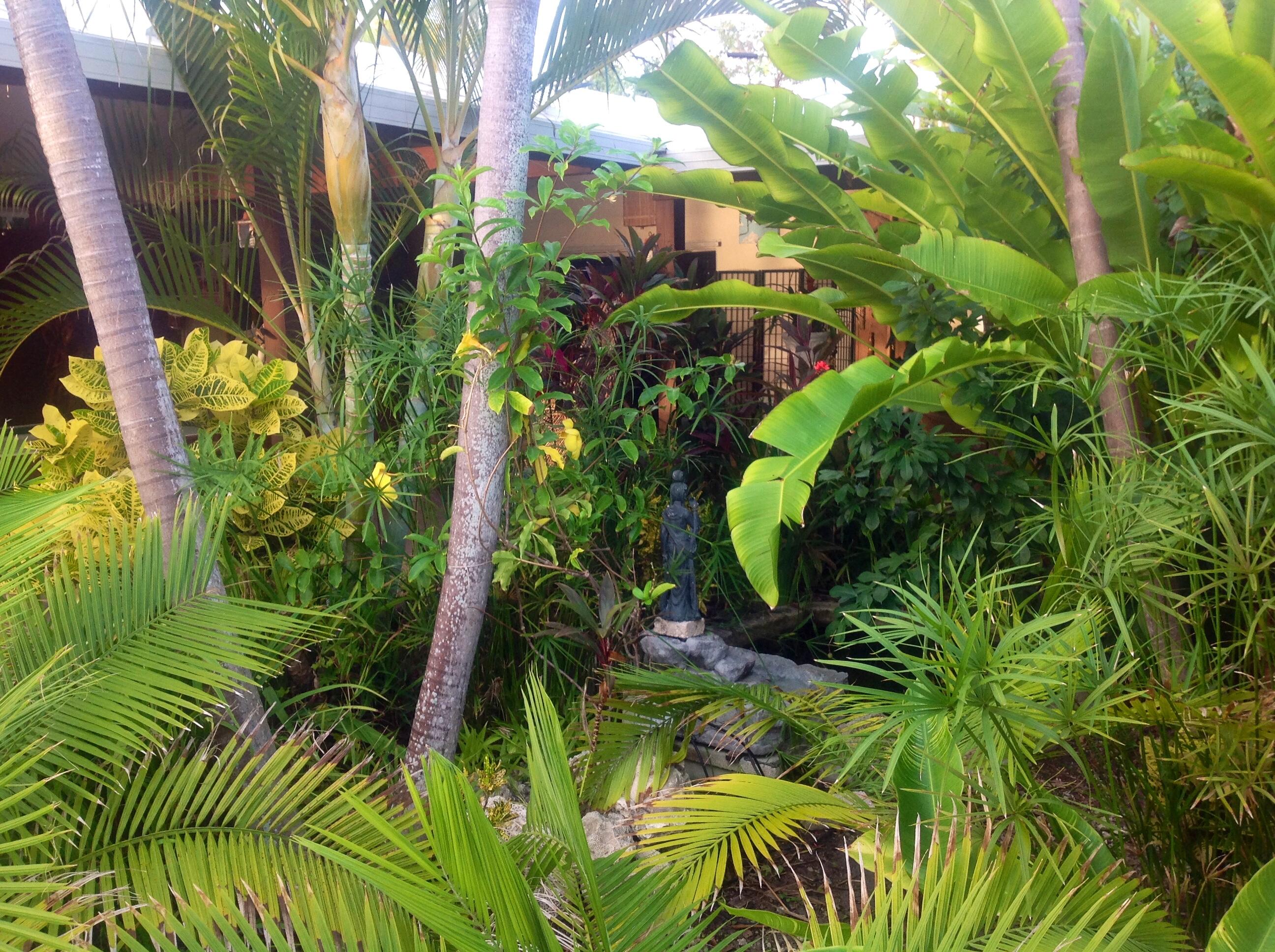 31 Boulder Drive Key West, FL 33040 - Photo 7 of 36 a close up of a plant in a garden