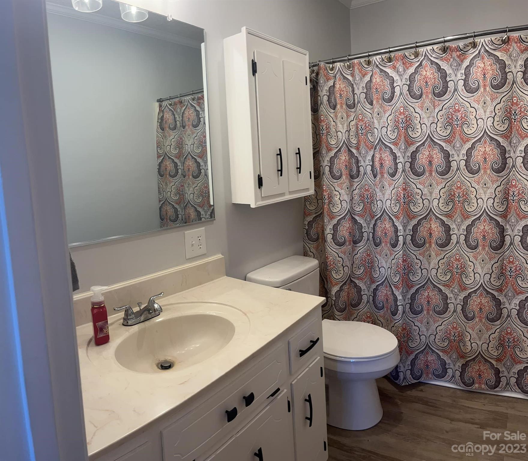 20909 Highway 9 Mount Croghan, SC 29727 - Photo 13 of 21 a bathroom with a sink toilet and shower