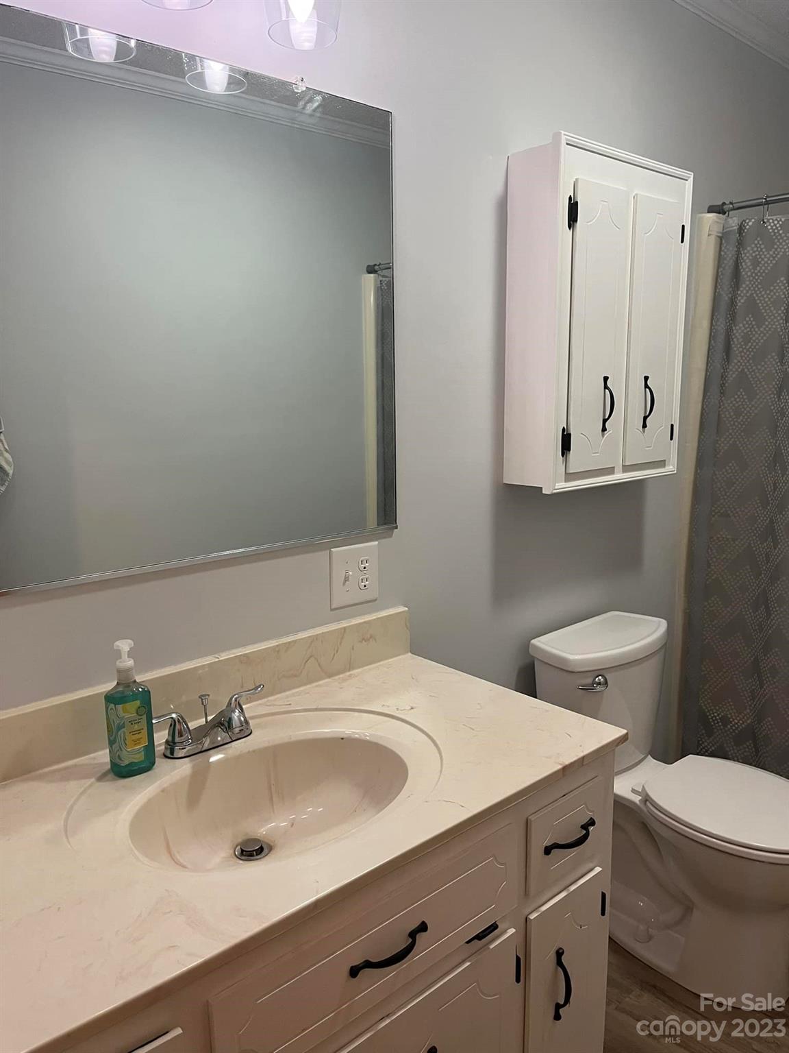 20909 Highway 9 Mount Croghan, SC 29727 - Photo 17 of 21 a bathroom with a sink toilet and vanity