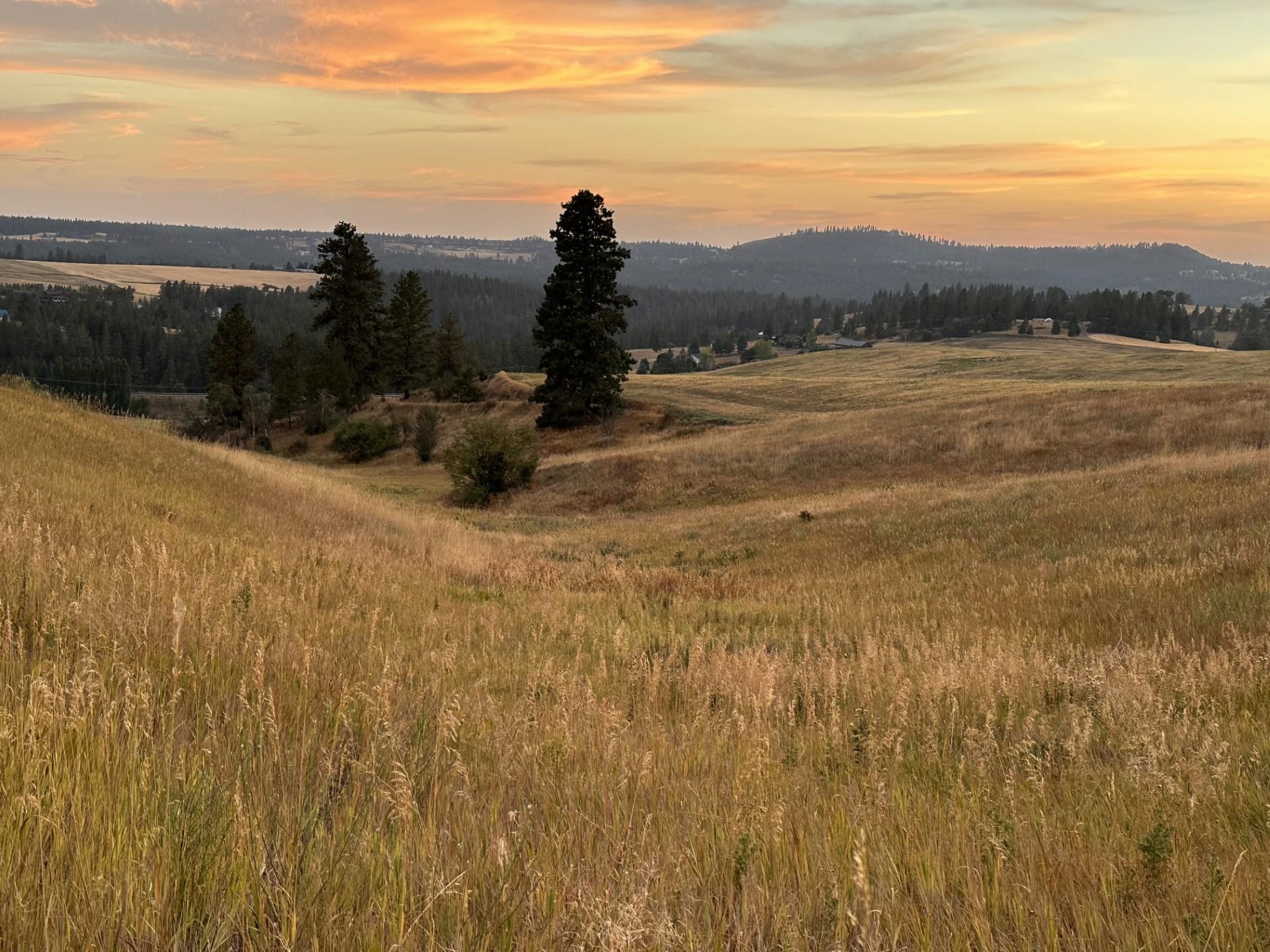 10915 South Silver Hill Road Spokane, WA 99223 - Photo 42 of 50