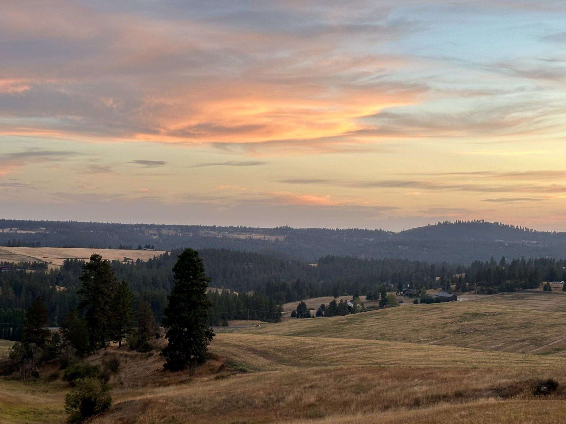 10915 South Silver Hill Road Spokane, WA 99223 - Photo 46 of 50