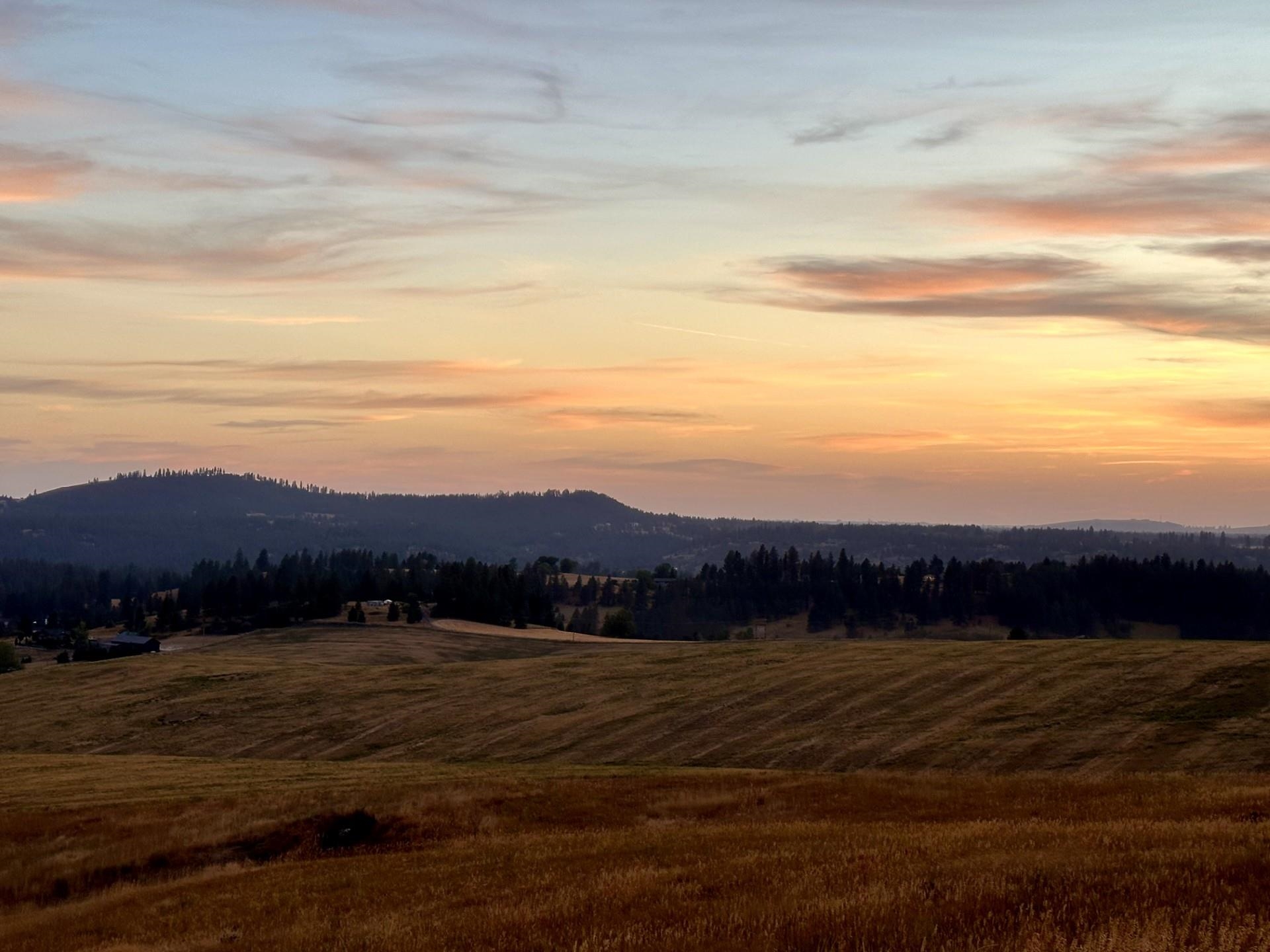10915 South Silver Hill Road Spokane, WA 99223 - Photo 47 of 50