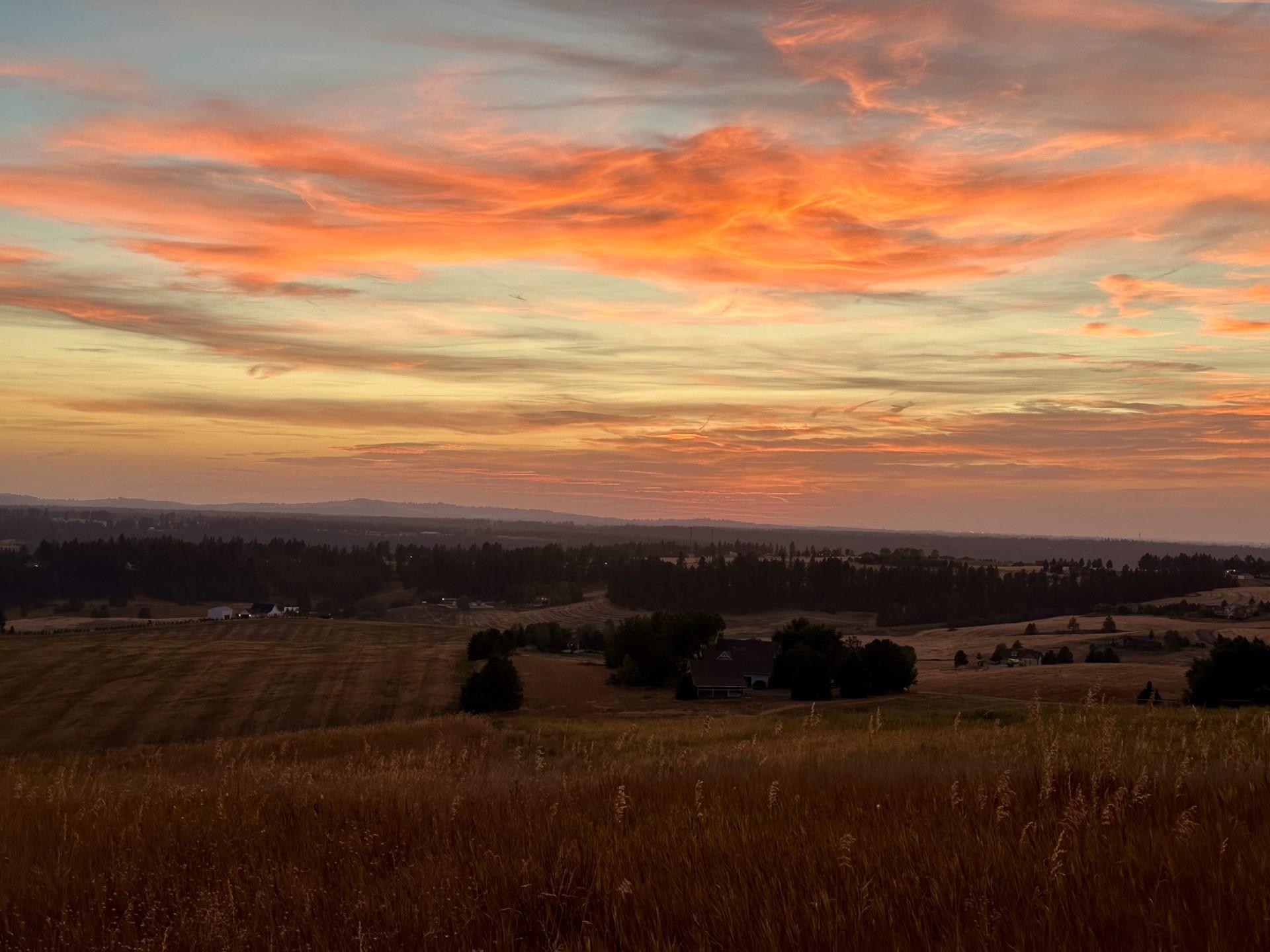 10915 South Silver Hill Road Spokane, WA 99223 - Photo 50 of 50