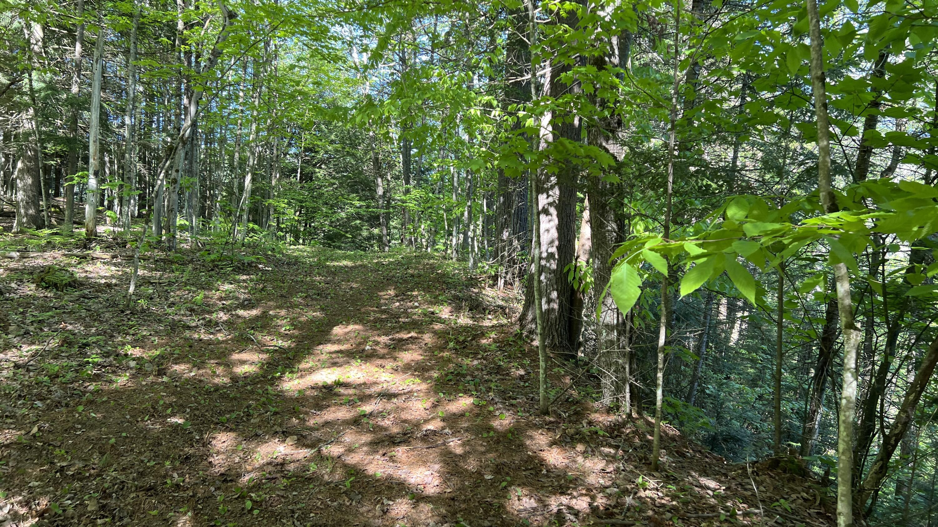 273 True Brook Road Saranac, NY 12981 - Photo 11 of 17 IMG_7899