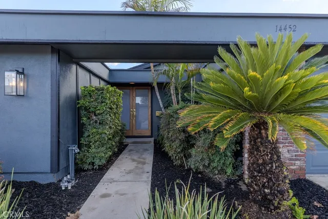 a view of a potted plant in front of a building
