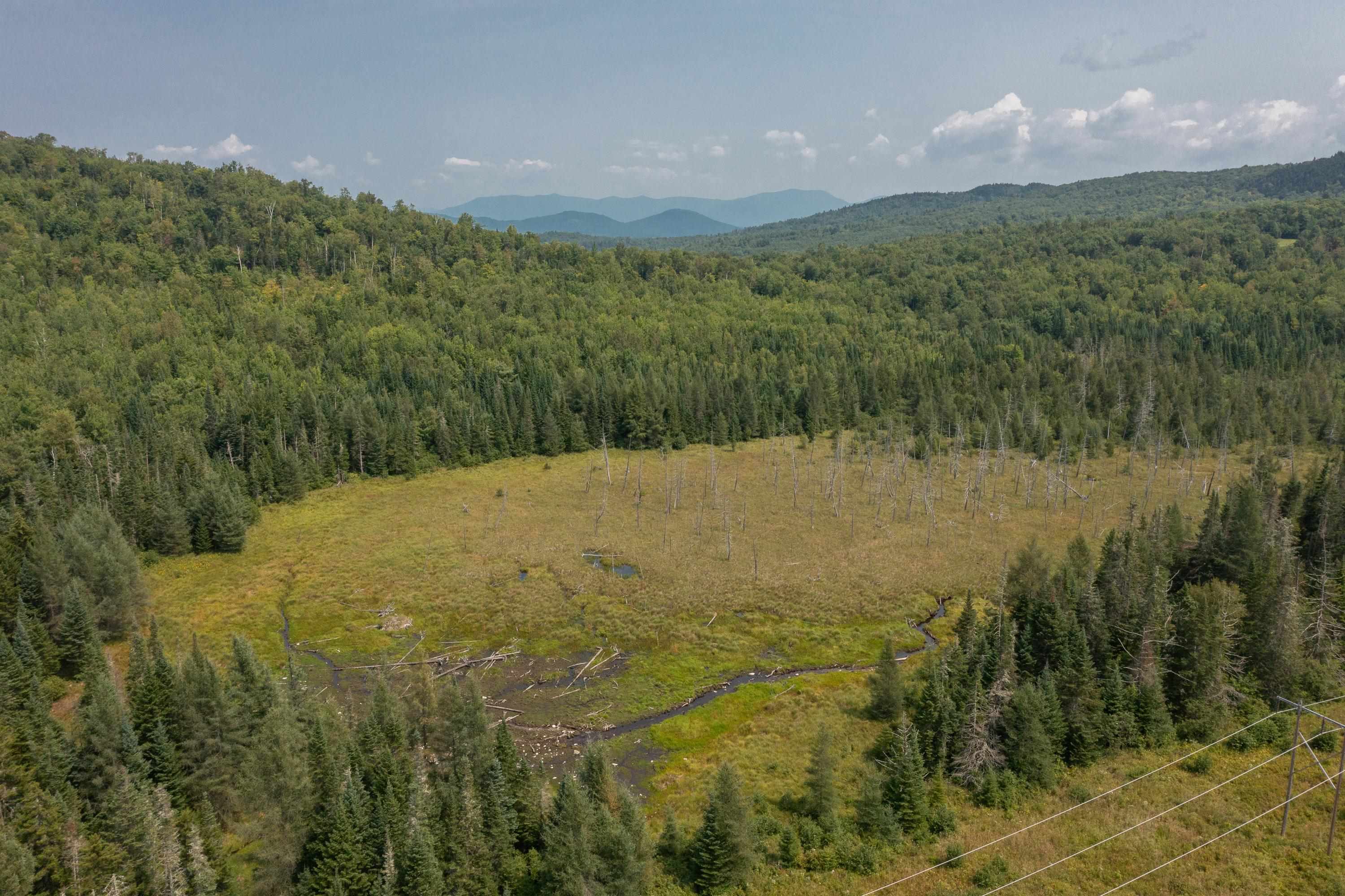 0 Union Road Dalton, NH 03598 - Photo 12 of 19