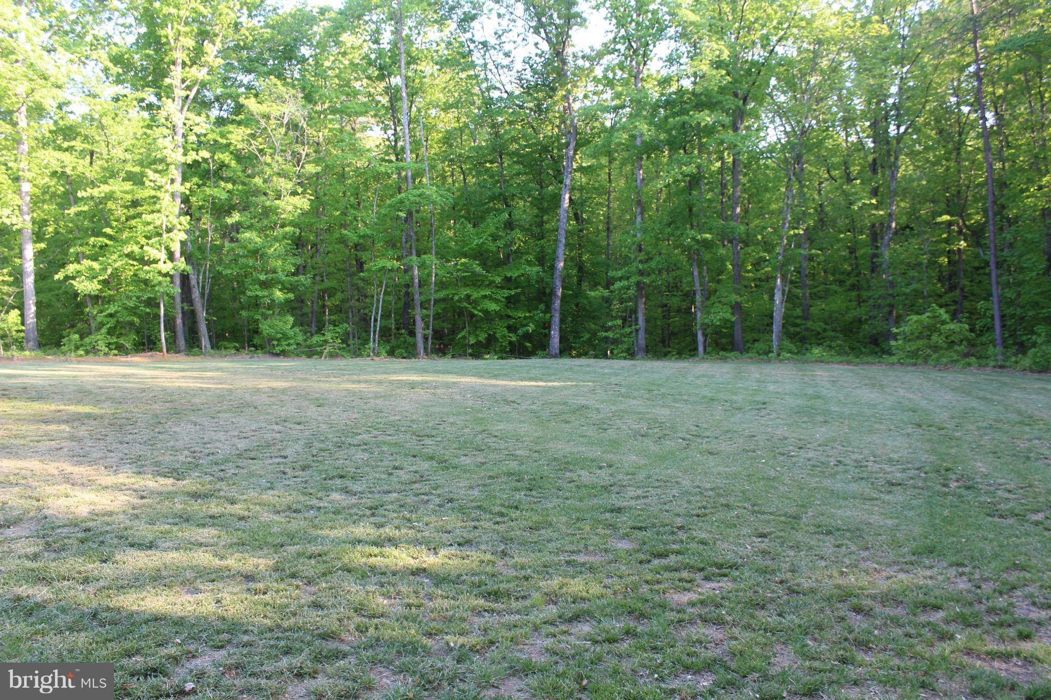 149 Dawns Ridge Louisa, VA 23093 - Photo 22 of 30 Amazing outdoor space!