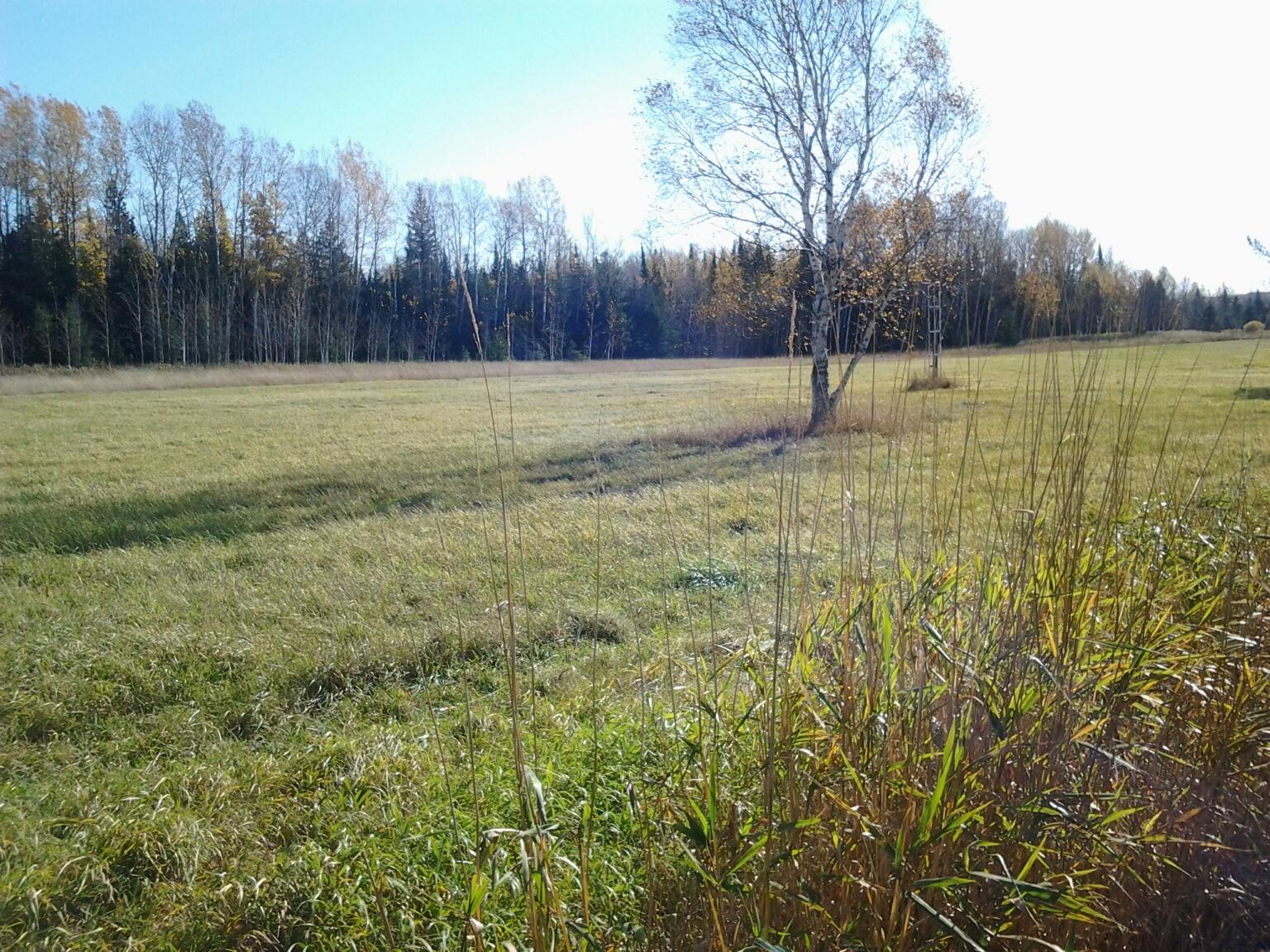 8389 South North Hulbert Road Hulbert, MI 49748 - Photo 9 of 10 Gallery Image 9