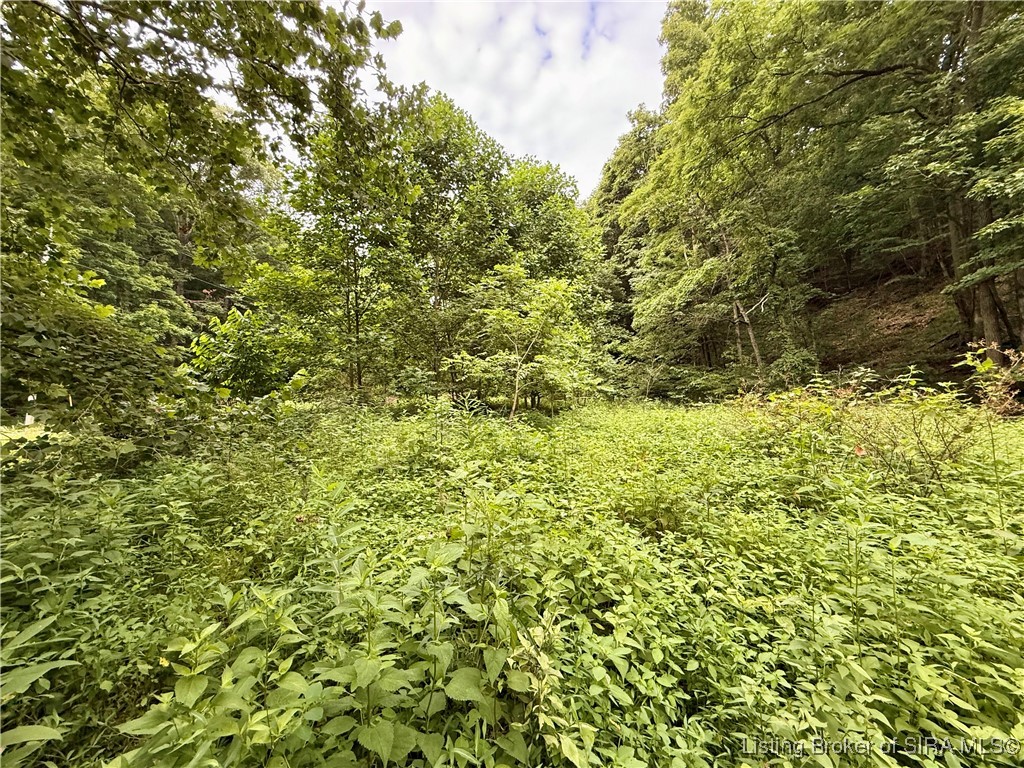 2032 West Goat Hollow Road Vallonia, IN 47281 - Photo 7 of 39