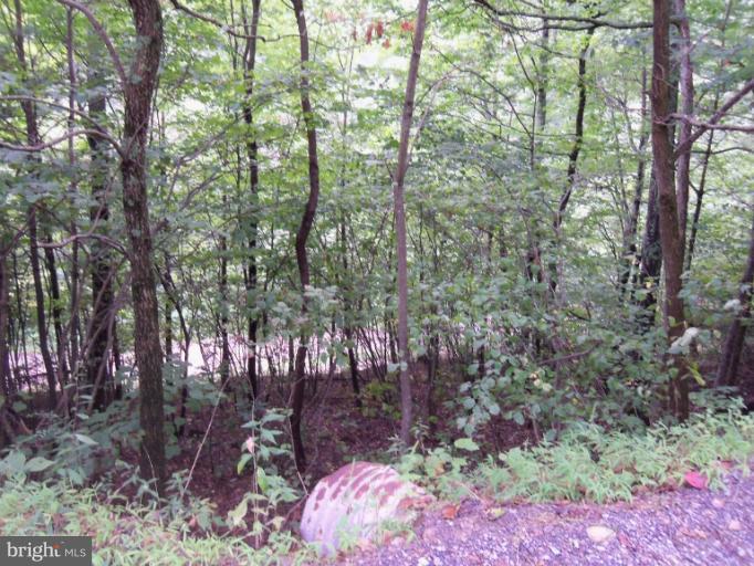 24 Spring Brook Way Berkeley Springs, WV 25411 - Photo 2 of 4 Exterior (General)