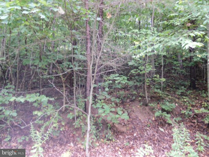 24 Spring Brook Way Berkeley Springs, WV 25411 - Photo 3 of 4 Exterior (General)