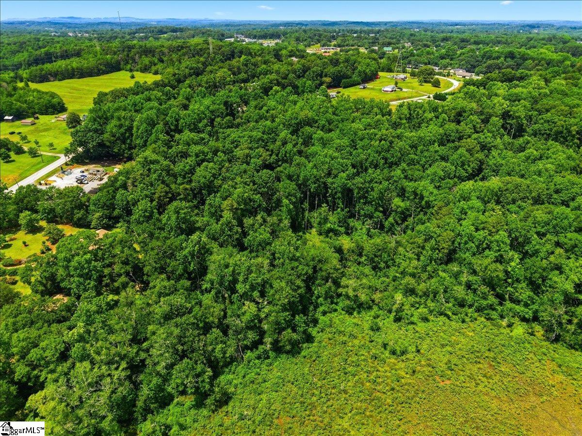 3184 Highway 14 Greer, SC 29651 - Photo 45 of 48