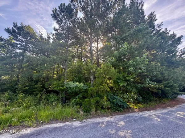 $17,000 | 285 Dodge Point Drive, Pinetops, NC 27864