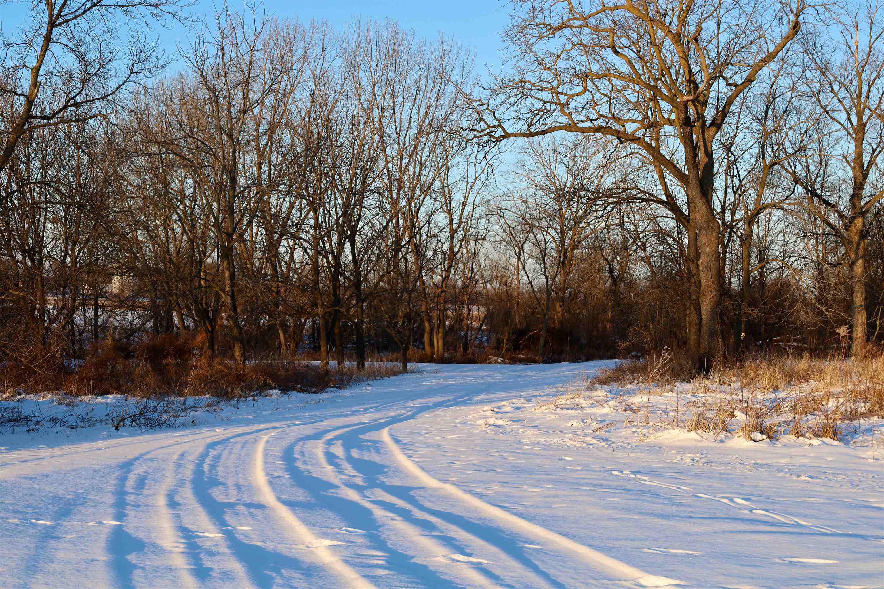 W9012 County Rd B Sharon, WI 53585 - Photo 37 of 52