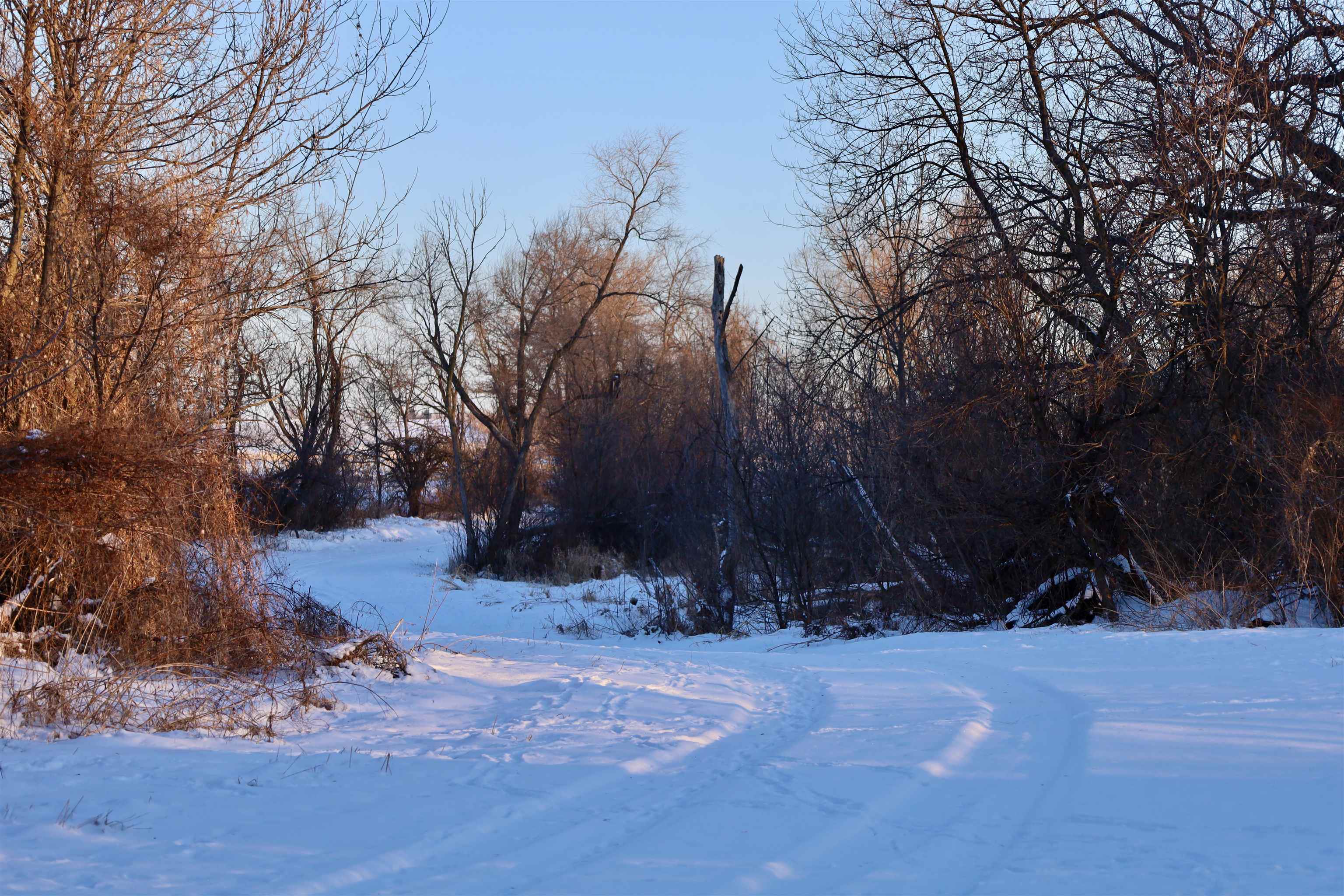 W9012 County Rd B Sharon, WI 53585 - Photo 43 of 52