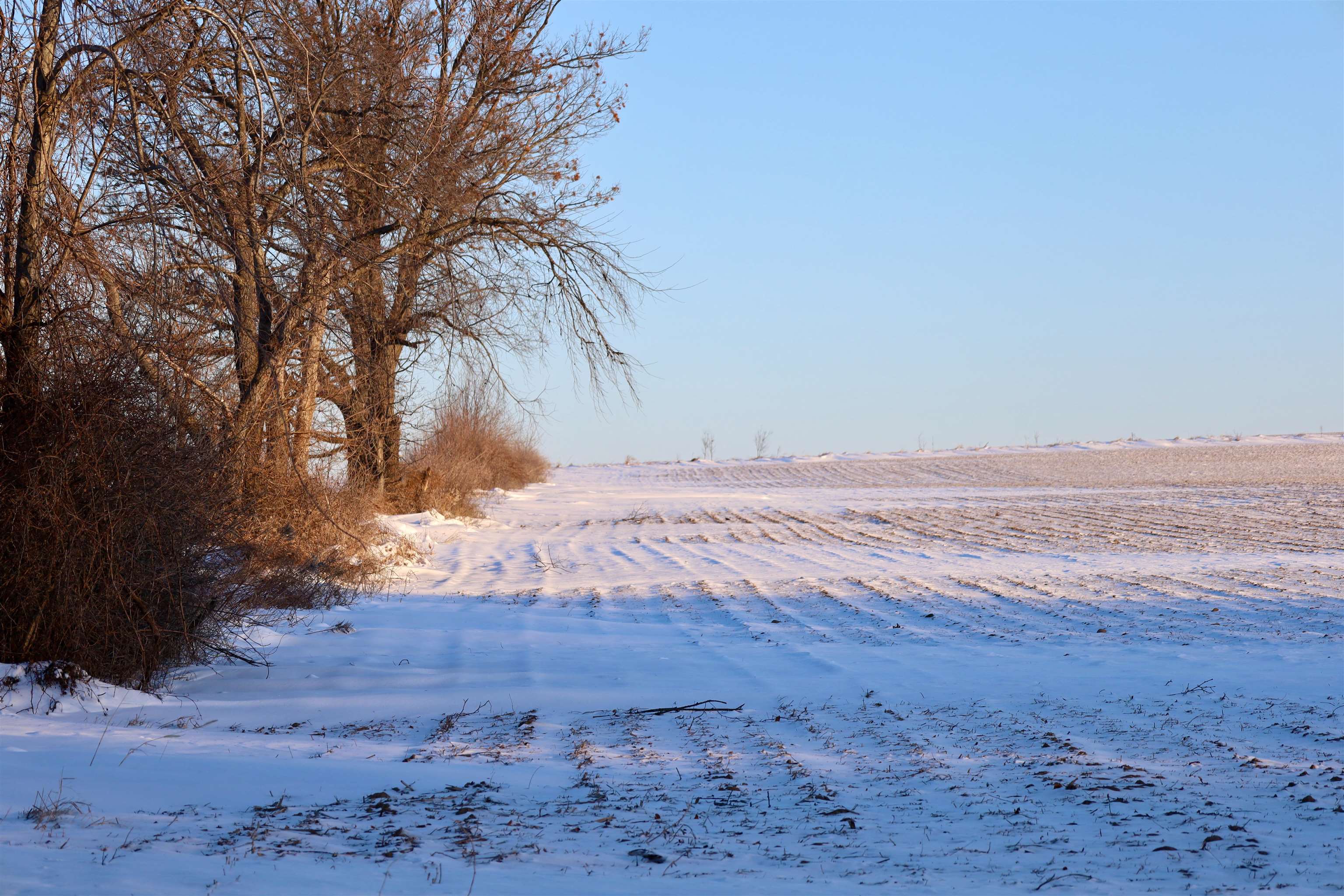W9012 County Rd B Sharon, WI 53585 - Photo 45 of 52