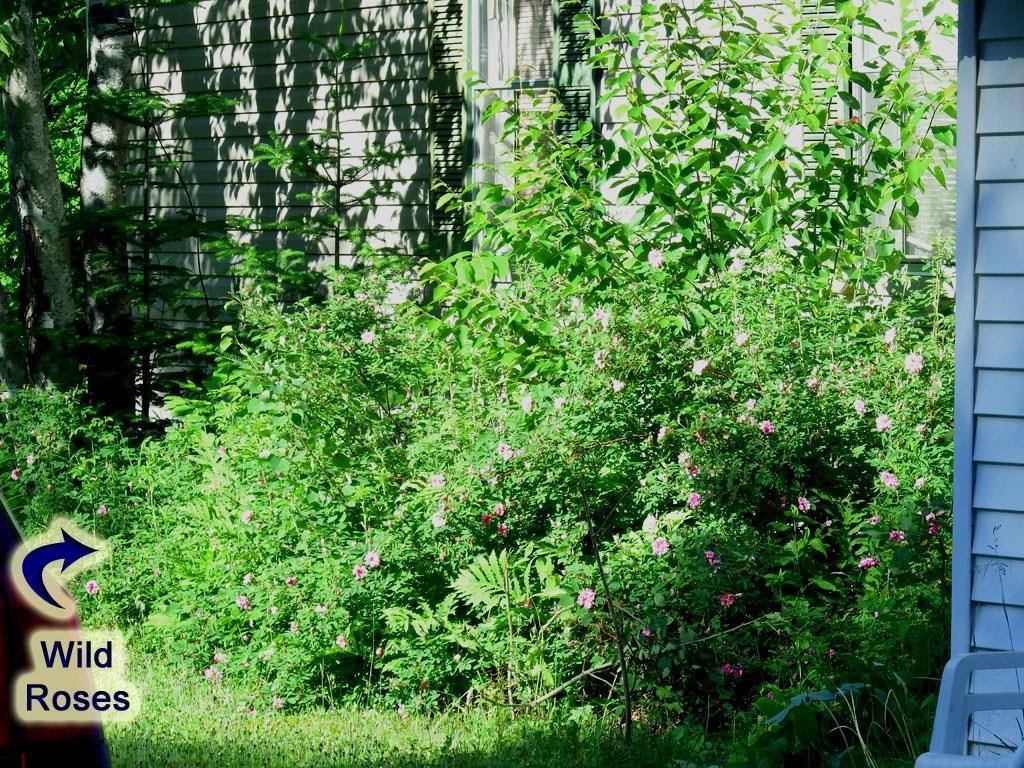 42 Wotton Road Monticello, ME 04760 - Photo 32 of 35 Photo