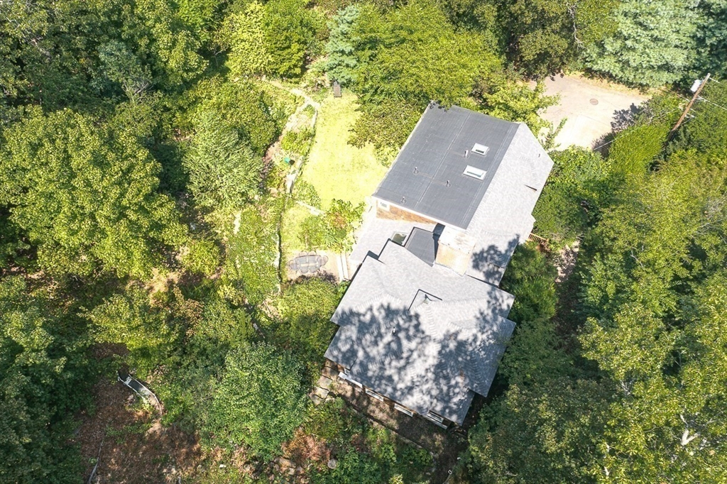 55 Pleasant Street Lexington, MA 02421 - Photo 42 of 42 a view of a yard