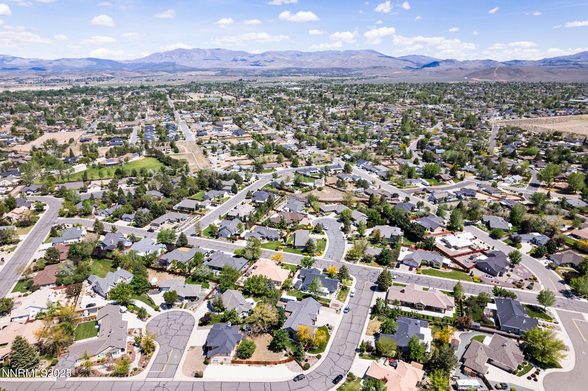 971 Fieldgate Way Gardnerville, NV 89460 - Photo 48 of 57 971 Fieldgate Way-4