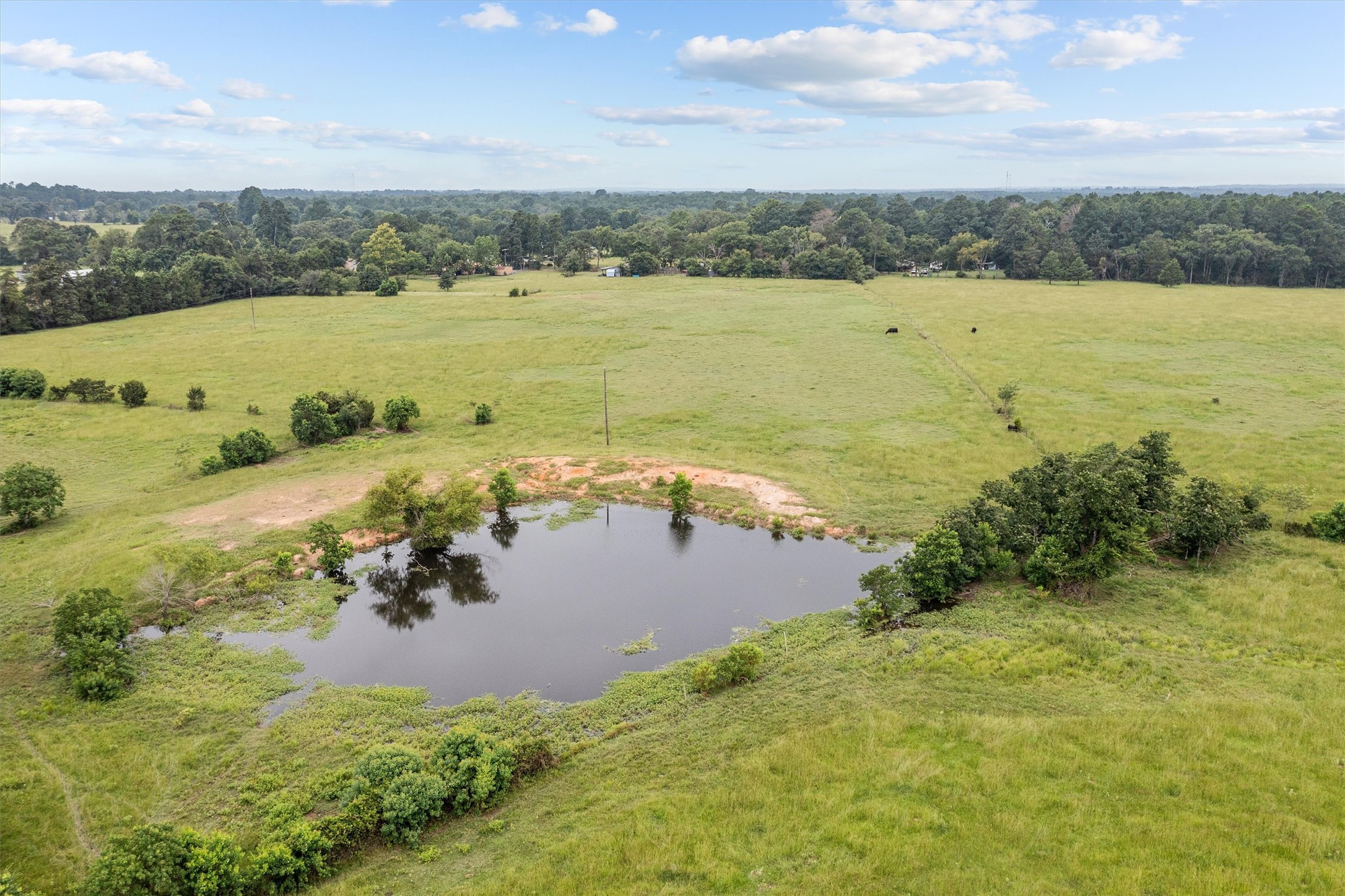 3219 Fm 1817 Elkhart, TX 75839 - Photo 24 of 31