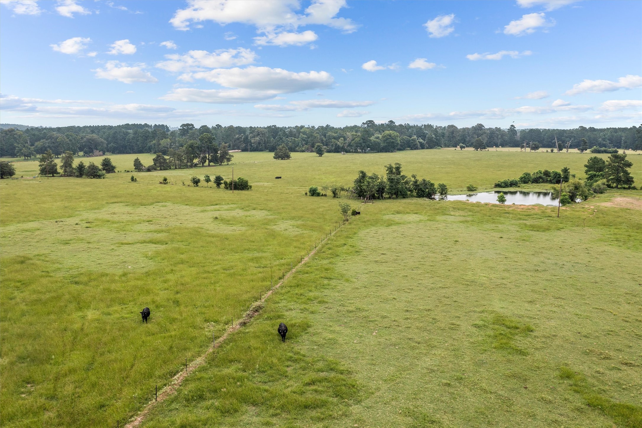 3219 Fm 1817 Elkhart, TX 75839 - Photo 25 of 31 a view of an ocean view