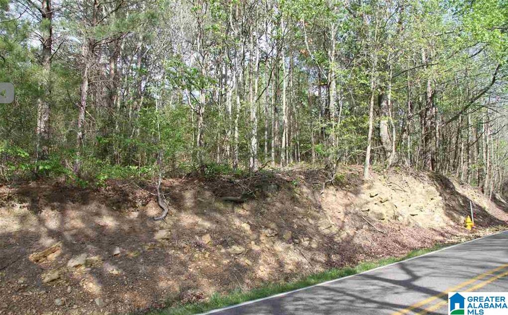 8789 Marsh Mountain Road, Unit 1 Pinson, AL 35126 - Photo 6 of 6