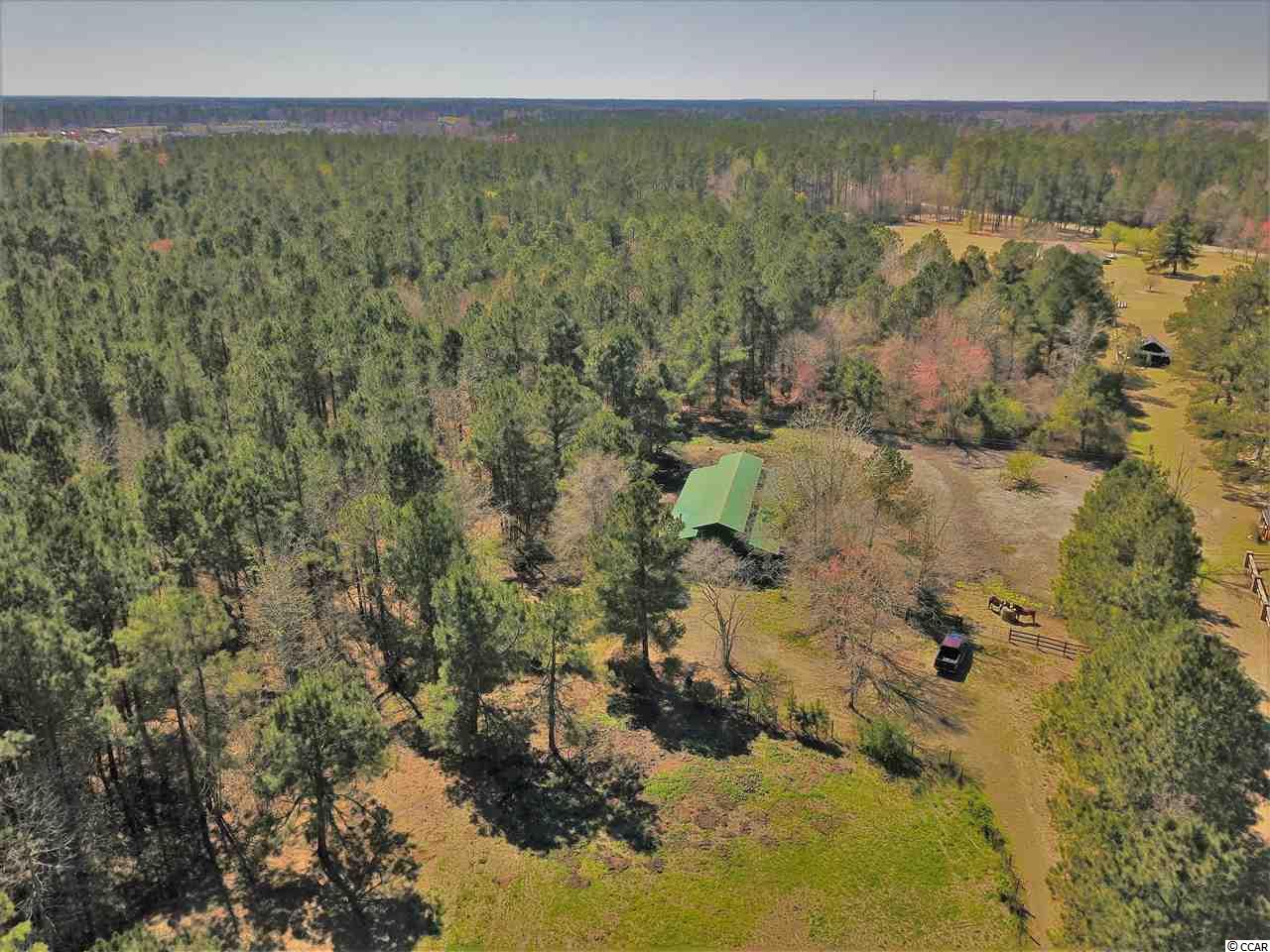 3040 Poplar Church Road Aynor, SC 29511 - Photo 3 of 28 Gallery Image 3