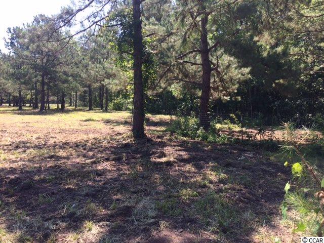 3040 Poplar Church Road Aynor, SC 29511 - Photo 22 of 28 Gallery Image 22