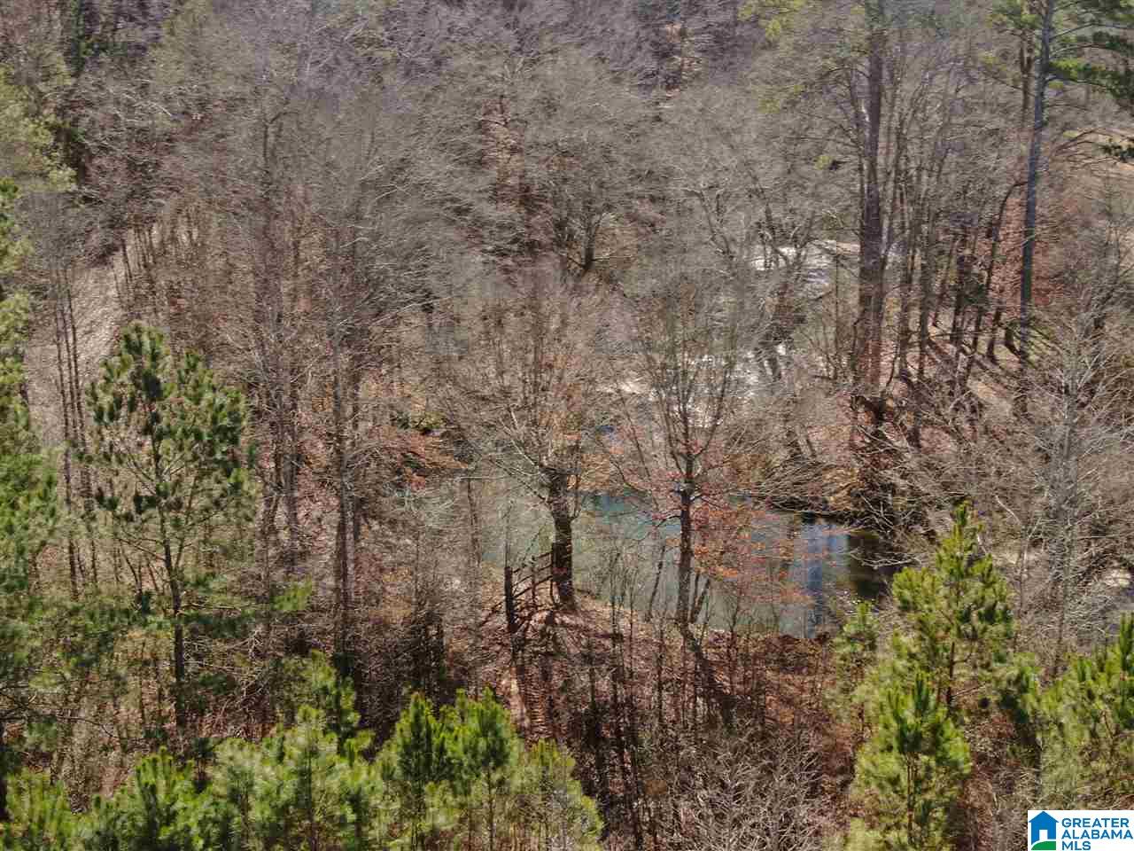 79 Highway 79 Cleveland, AL 35049 - Photo 23 of 36