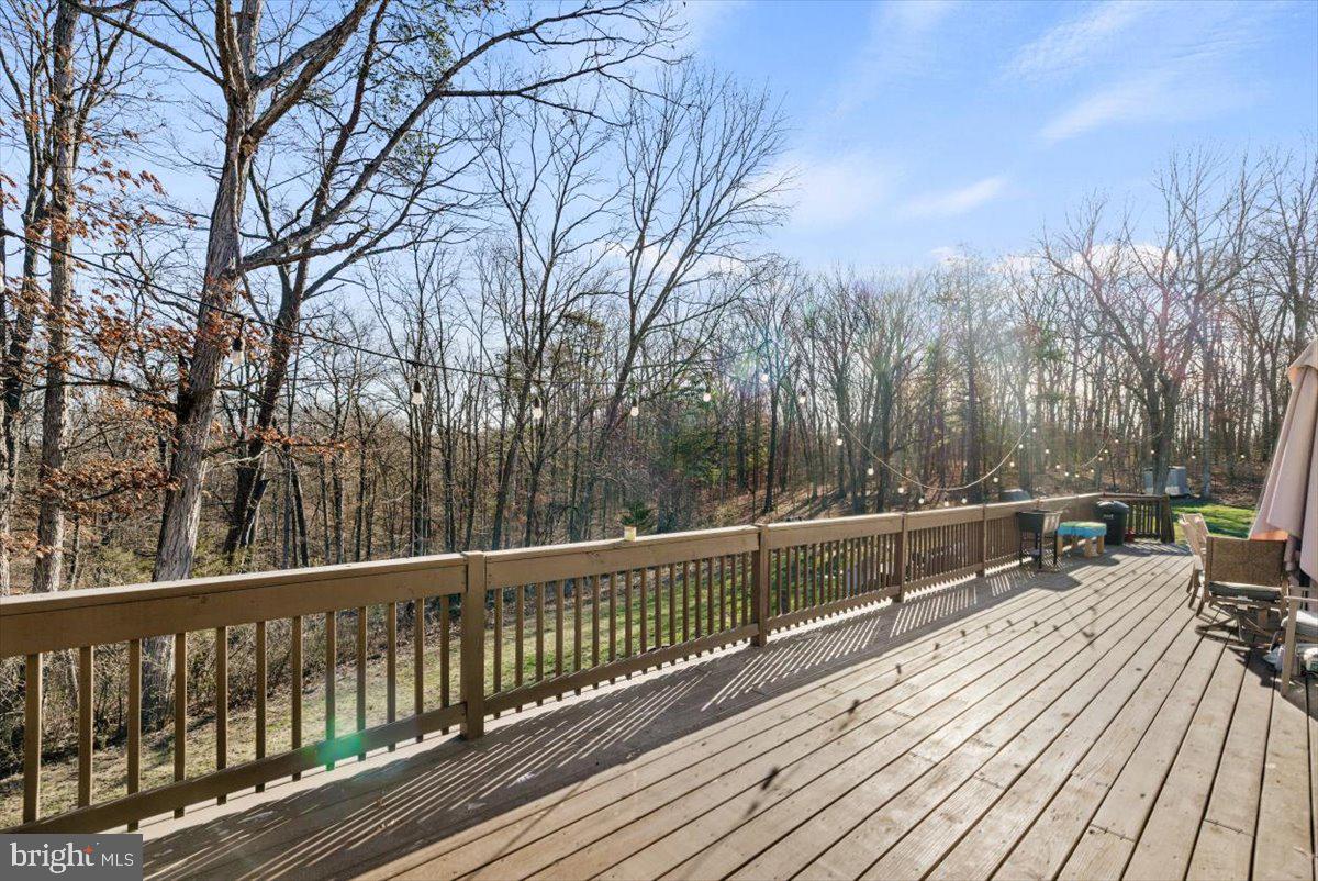 441 Shady Creek Road Clear Brook, VA 22624 - Photo 11 of 46 a view of balcony with wooden floor and trees