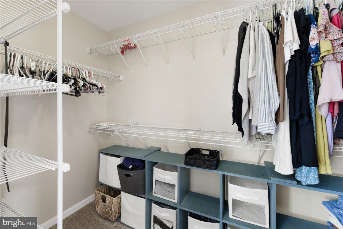 441 Shady Creek Road Clear Brook, VA 22624 - Photo 31 of 46 a view of walk in closet with clothes and shoes