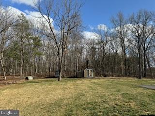 441 Shady Creek Road Clear Brook, VA 22624 - Photo 4 of 46 a view of outdoor space with trees